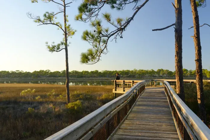 Framed Print : USA, Florida, Franklin County, Gulf of Mexico, Apalachicola, St. George Island State Park Framed Print : USA, Florida, Franklin County, Gulf of Mexico, Apalachicola, St. George Island State Park