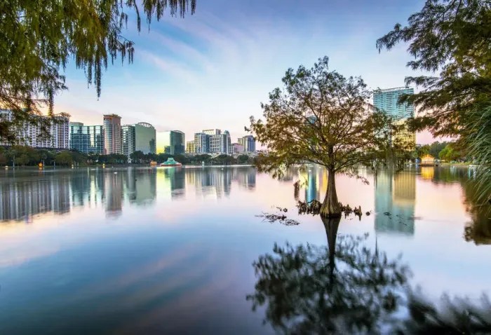 Framed Print : USA, Florida, Orlando, Lake Eola, Lake Eola Park, Cypress Tree, Downtown Skyline Framed Print : USA, Florida, Orlando, Lake Eola, Lake Eola Park, Cypress Tree, Downtown Skyline