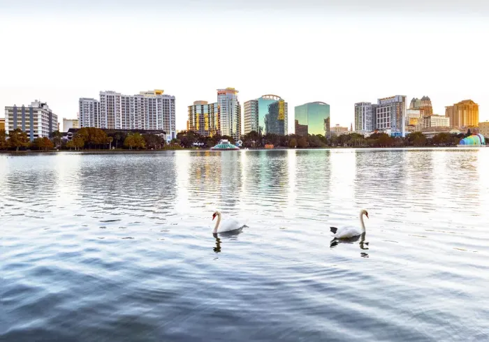 Framed Print : USA, Florida, Orlando, Lake Eola, Lake Eola Park, Swans, Downtown Skyline Framed Print : USA, Florida, Orlando, Lake Eola, Lake Eola Park, Swans, Downtown Skyline