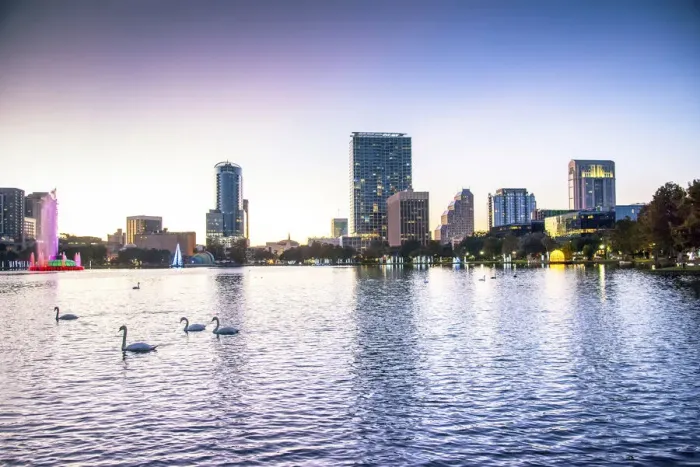 Framed Print : USA, Florida, Orlando, Lake Eola, Lake Eola Park, Swans, Downtown Skyline Framed Print : USA, Florida, Orlando, Lake Eola, Lake Eola Park, Swans, Downtown Skyline