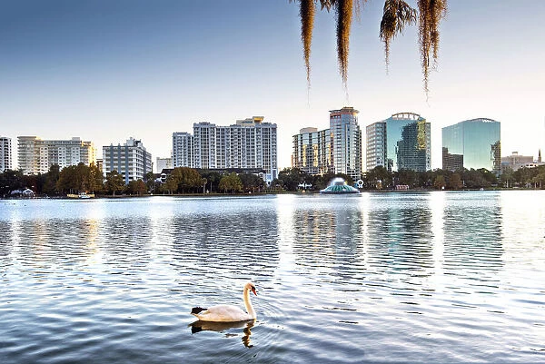 USA, Florida, Orlando, Lake Eola, Lake Eola Park, Swan, Downtown Skyline