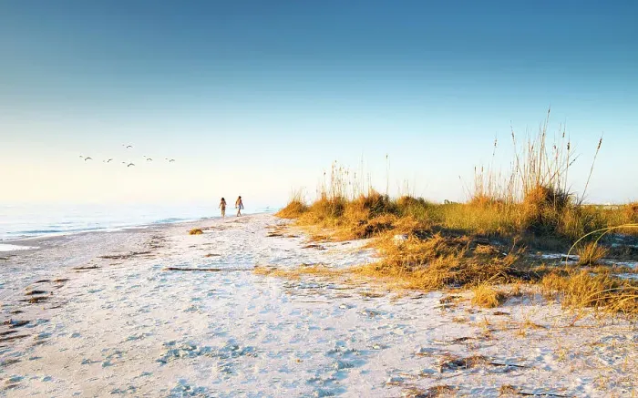 Framed Print : USA, Florida, Saint Petersburg, Pinellas County, Fort De Soto Park, Beach, Dunes, Sunset Framed Print : USA, Florida, Saint Petersburg, Pinellas County, Fort De Soto Park, Beach, Dunes, Sunset