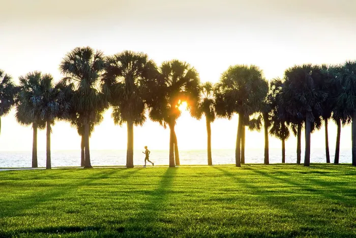 Framed Print : USA, Florida, Saint Petersburg, Pinellas County, Tampa Bay, Vinoy Park, Runner, Sunrise Framed Print : USA, Florida, Saint Petersburg, Pinellas County, Tampa Bay, Vinoy Park, Runner, Sunrise
