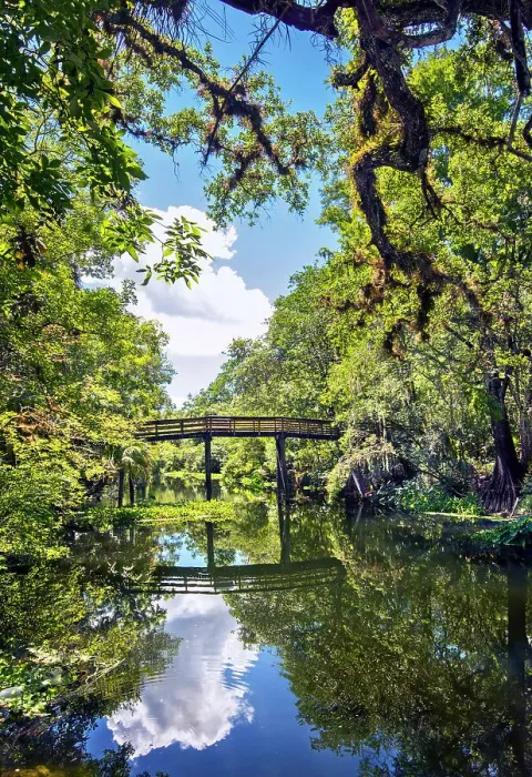 Framed Print : USA, Florida, Tampa, Hillsborough County, Hillsborough River State Park, One Of The Eight Original Florida State Parks Framed Print : USA, Florida, Tampa, Hillsborough County, Hillsborough River State Park, One Of The Eight Original Florida State Parks