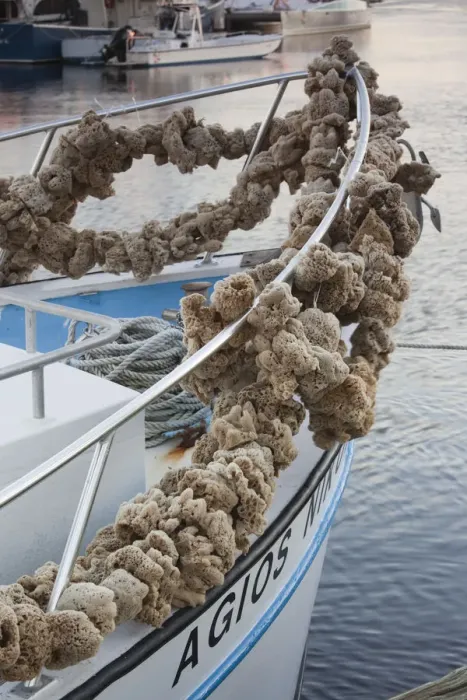 Framed Print : USA, Florida, Tarpon Springs, Greek sponge fishing town, natural sponges on sponge-diving Framed Print : USA, Florida, Tarpon Springs, Greek sponge fishing town, natural sponges on sponge-diving