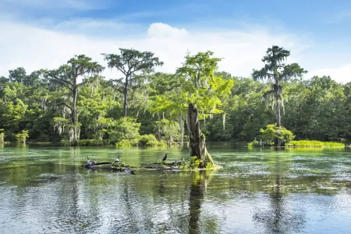 Framed Print : USA, Florida, Wakulla Springs State Park, Wakulla County, Wakulla River, Carries
