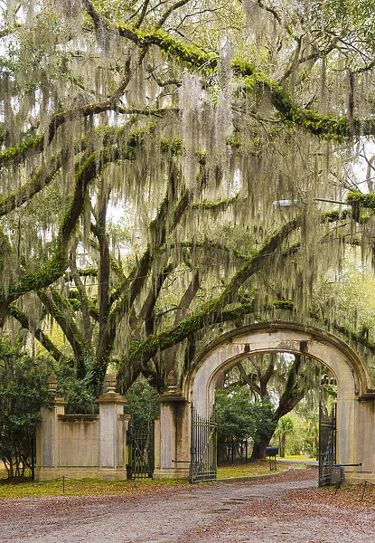 USA, Georgia, Savannah, Entrance to Wormsloe Plantation