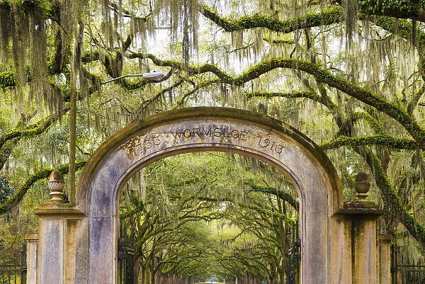 USA, Georgia, Savannah, Entrance to Wormsloe Plantation