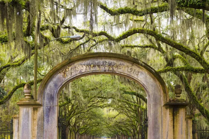 Framed Print : USA, Georgia, Savannah, Entrance to Wormsloe Plantation Framed Print : USA, Georgia, Savannah, Entrance to Wormsloe Plantation
