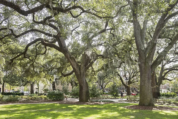 USA, Georgia, Savannah, a square in the city