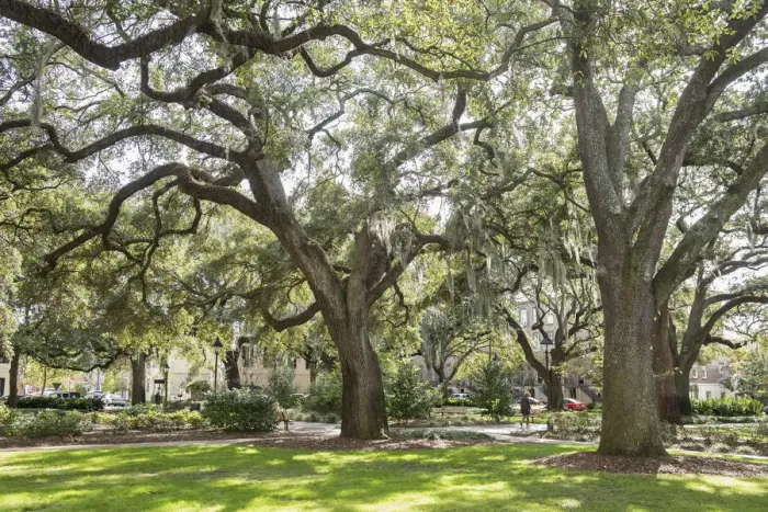 Framed Print : USA, Georgia, Savannah, a square in the city