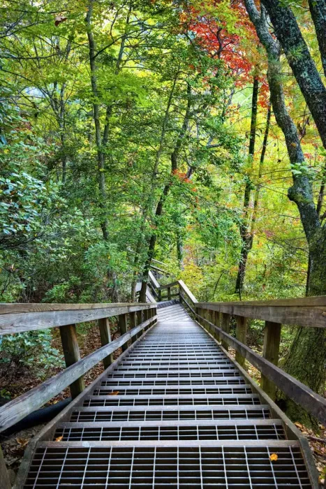 Framed Print : USA, Georgia, Tallulah Gorge State Park, Stairway Down To Tallulah River Framed Print : USA, Georgia, Tallulah Gorge State Park, Stairway Down To Tallulah River
