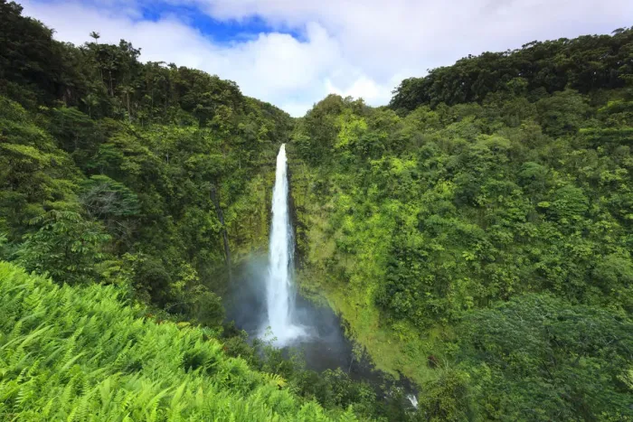 Framed Print : USA, Hawaii, The Big Island, Akaka Falls State Park Framed Print : USA, Hawaii, The Big Island, Akaka Falls State Park