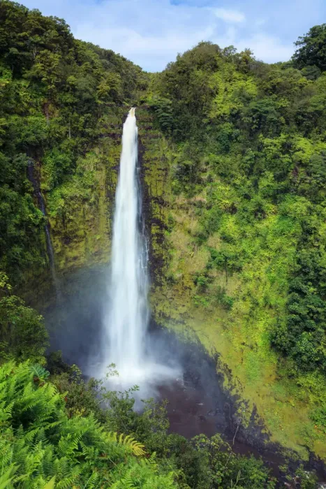 Framed Print : USA, Hawaii, The Big Island, Akaka Falls State Park Framed Print : USA, Hawaii, The Big Island, Akaka Falls State Park
