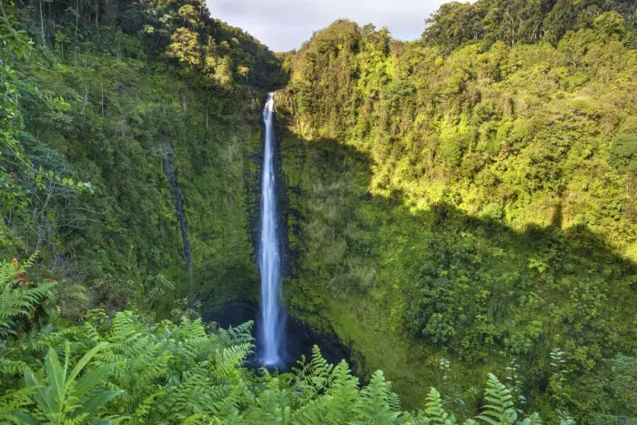 Framed Print : USA, Hawaii, Big Island, Akaka Falls State Park, Akaka Falls Framed Print : USA, Hawaii, Big Island, Akaka Falls State Park, Akaka Falls