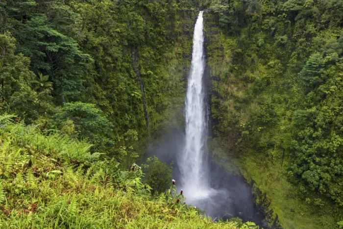 Framed Print : USA, Hawaii, Big Island, Akaka Falls State Park, Akaka Falls Framed Print : USA, Hawaii, Big Island, Akaka Falls State Park, Akaka Falls