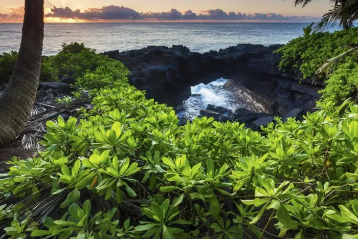 Framed Print : USA, Hawaii, Big Island, Kalepa Point