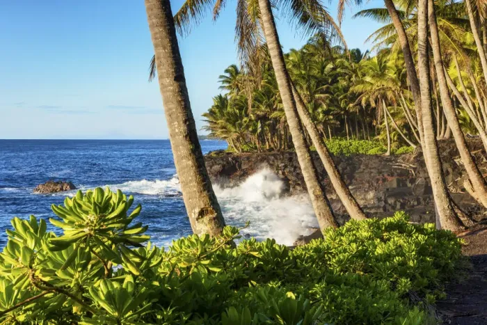 Framed Print : USA, Hawaii, Big Island, Kalepa Point Framed Print : USA, Hawaii, Big Island, Kalepa Point