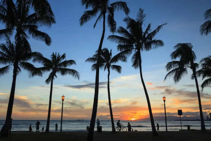 Framed Print : USA, Hawaii, Oahu, Honolulu, Waikiki Beach, Kapiolani Park Framed Print : USA, Hawaii, Oahu, Honolulu, Waikiki Beach, Kapiolani Park