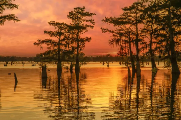Framed Print : USA, Louisiana, Atchafalaya basin Framed Print : USA, Louisiana, Atchafalaya basin