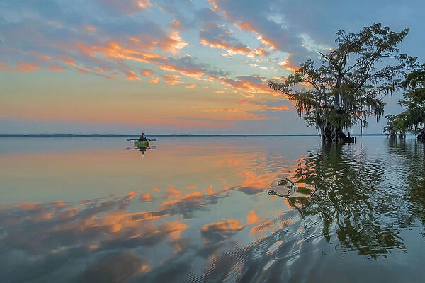 USA, Louisiana, Atchafalaya Basin, , Lake Fausse Pointe State Park