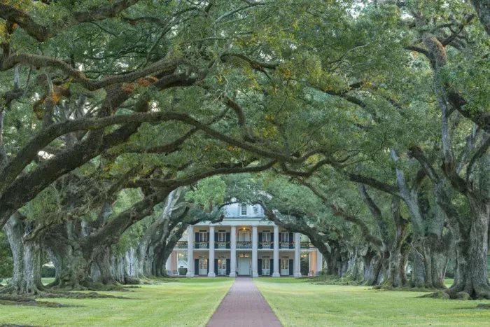 Framed Print : USA, Louisiana, St. James Parish, Vacherie, Oak Alley Plantation