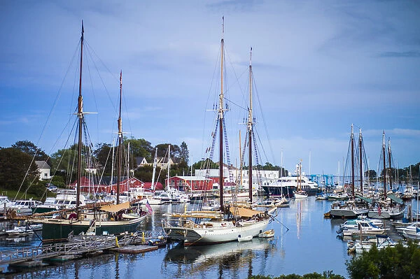 USA, Maine, Camden, Camden Harbor and windjammers sailing ships