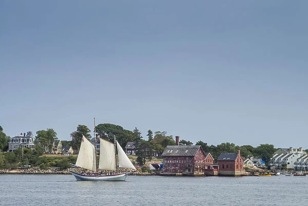 USA, Massachusetts, Cape Ann, Gloucester, Americas Oldest Seaport, Gloucester
