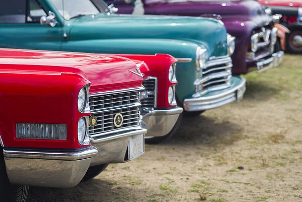 USA, Massachusetts, Cape Ann, Gloucester, Antique Car Show, classic cars