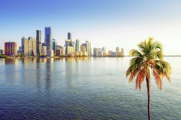 Framed Print : USA, Miami, Florida, Downtown Skyline, Biscayne Bay, Palm Tree, Morning Framed Print : USA, Miami, Florida, Downtown Skyline, Biscayne Bay, Palm Tree, Morning