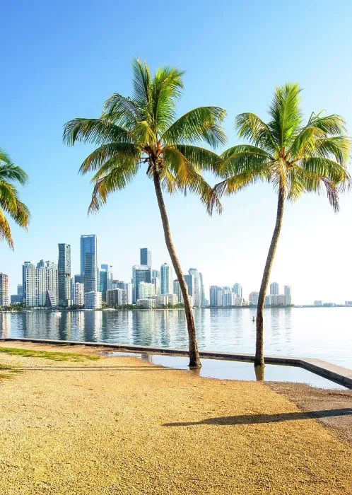Framed Print : USA, Miami, Florida, Downtown Skyline, Biscayne Bay, Palm Tree, Morning Framed Print : USA, Miami, Florida, Downtown Skyline, Biscayne Bay, Palm Tree, Morning