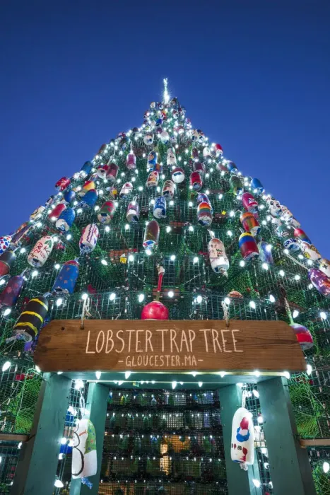 Framed Print : USA, New England, Cape Ann, Massachusetts, Gloucester, Christmas Tree made of lobster Framed Print : USA, New England, Cape Ann, Massachusetts, Gloucester, Christmas Tree made of lobster