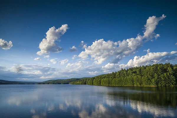 USA, New England, Connecticut, Barkhamstead, Barkhamstead Reservoir, summer