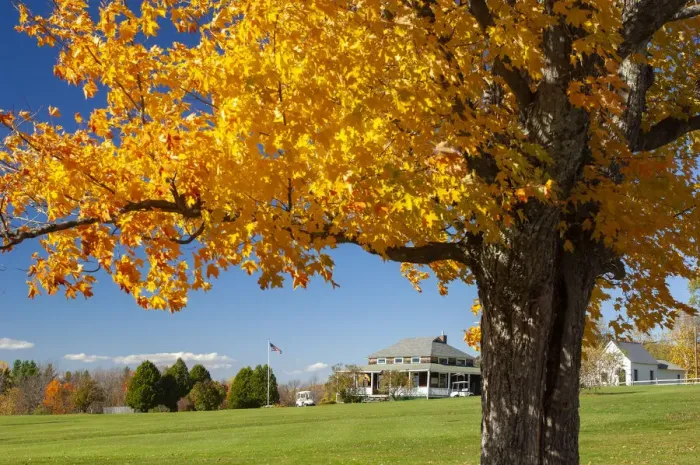 Framed Print : USA, New England, Indian Summer, East, New Hampshire, golf course in fall near Sugar Framed Print : USA, New England, Indian Summer, East, New Hampshire, golf course in fall near Sugar