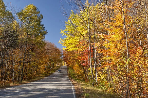 USA, New England, Indian Summer, East, Vermont, country road near west Dover in the Green