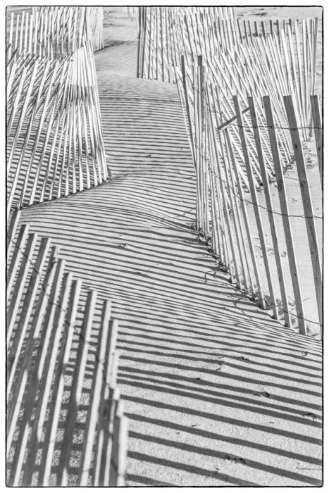 Framed Print : USA, New England, Massachusetts, Nantucket Island, Madaket, Madaket Beach, sand fence