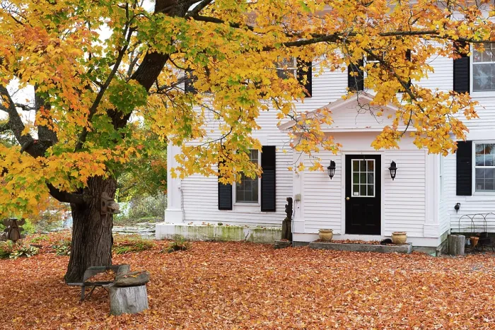Framed Print : USA, New England, Vermont, Peacham, a timber clad house in the autumn Framed Print : USA, New England, Vermont, Peacham, a timber clad house in the autumn