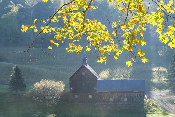 USA, New England, Vermont, South Pomfret, farm in autumn