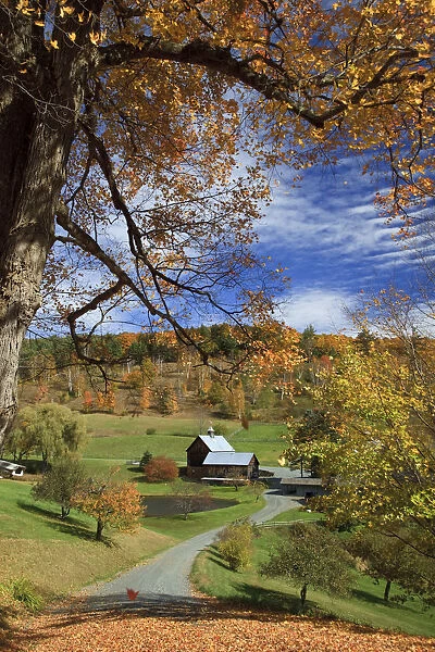 USA, New England, Vermont, Woodstock, Sleepy Hollow Farm