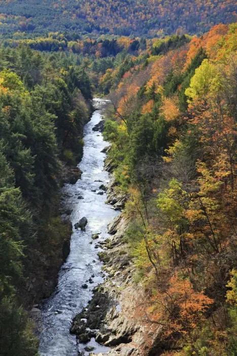 Framed Print : USA, New England, Vermont, Woodstock, Quechee State Park, Fall Foliage and Quechee Gorge Framed Print : USA, New England, Vermont, Woodstock, Quechee State Park, Fall Foliage and Quechee Gorge