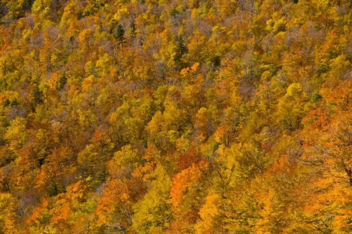 Framed Print : USA New Hampshire Framed Print : USA New Hampshire