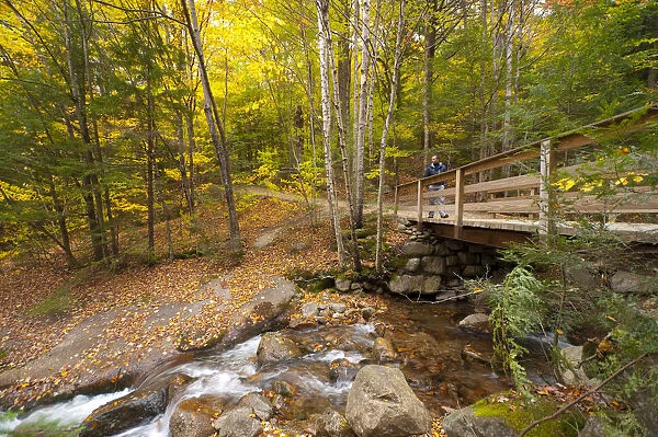 USA, New Hampshire, Franconia Notch State Park