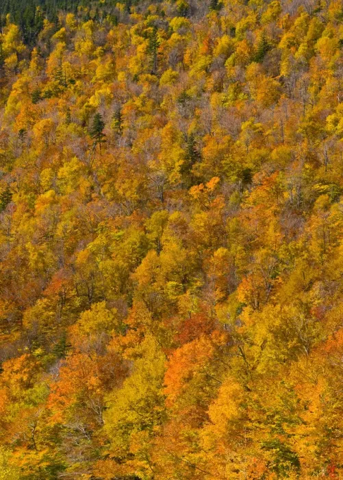 Framed Print : USA, New Hampshire, White Mountain National Park Framed Print : USA, New Hampshire, White Mountain National Park