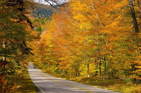 USA, New Hampshire, White Mountain National Park, Kankamagus Highway