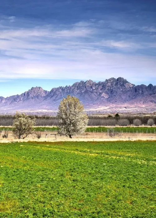 Framed Print : USA, New Mexico, La Mesa, Mesilla Valley, Farm, Organ Mountains, Cottonwood Trees, Rio Grande Valley Framed Print : USA, New Mexico, La Mesa, Mesilla Valley, Farm, Organ Mountains, Cottonwood Trees, Rio Grande Valley