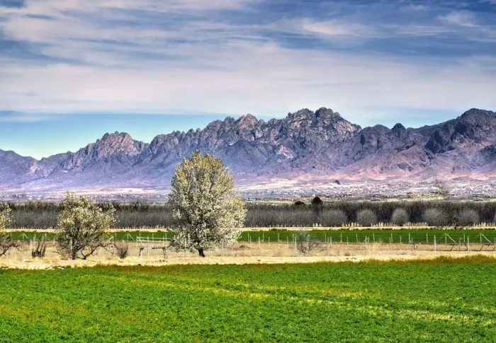Framed Print : USA, New Mexico, La Mesa, Mesilla Valley, Farm, Organ Mountains, Cottonwood Trees, Rio Grande Valley Framed Print : USA, New Mexico, La Mesa, Mesilla Valley, Farm, Organ Mountains, Cottonwood Trees, Rio Grande Valley