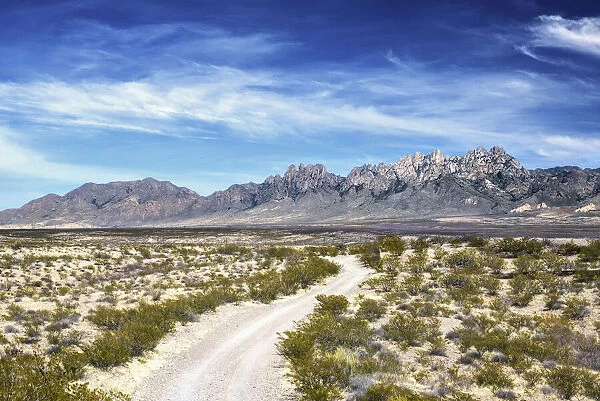 USA, New Mexico, Las Cruces, Organ Mountains, Chihuahuan Desert