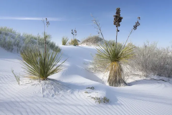 Framed Print : USA; New Mexico; White Sands; National Monument; National Park Framed Print : USA; New Mexico; White Sands; National Monument; National Park