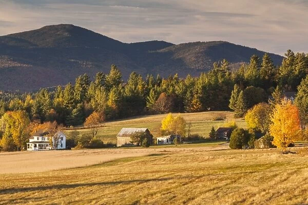 USA, New York, Adirondack Mountains, Lake Placid, field at sunset, autumn