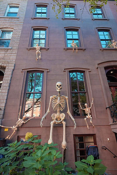 USA, New York City, Halloween decoration along the streets of Manhattan, New York with a fake skeleton hanging from the windows